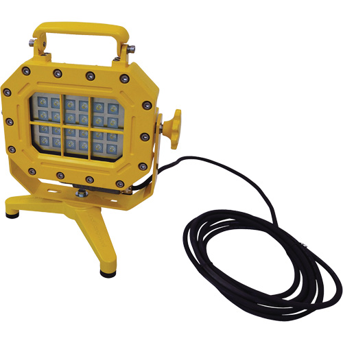 Explosion Proof Floodlight with Stand, LED, 40 W, 5600 Lumens, Aluminum Housing Meunier Outillage Industriel