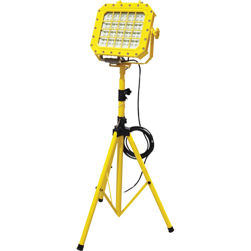 Diffuseur anti-d&eacute;flagration avec tr&eacute;pied, DEL, 40 W, 5600 lumens, Boîtier en Aluminium Meunier Outillage Industriel