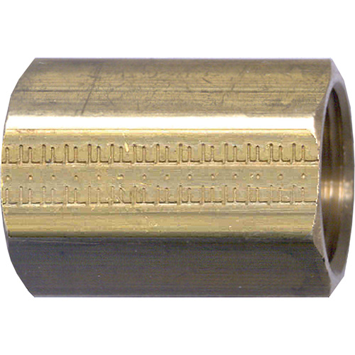 Pipe Coupling, Brass, 1/8" Meunier Outillage Industriel