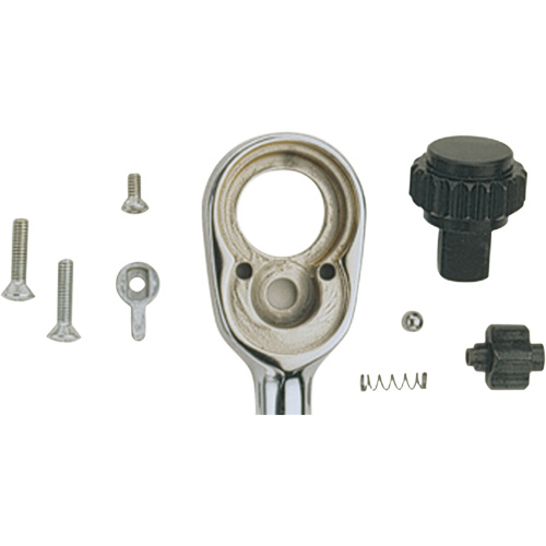 Ratchet Repair Kit Meunier Outillage Industriel