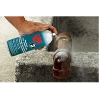 3&reg; Premier Rust Inhibitor, Aerosol Can Meunier Outillage Industriel