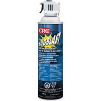 Bug Blast Insecticide, 397 g, Solvent Base AF106 | Meunier Outillage Industriel