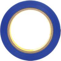 Polyester Tape 8901, 25.4 mm (1") x 66 m (216'), Blue Meunier Outillage Industriel