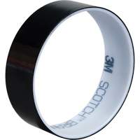 Ruban en polyester, Polyester, 25,4 mm (1") la x 66 m (216') lo, 1,9 mils &eacute;pais Meunier Outillage Industriel