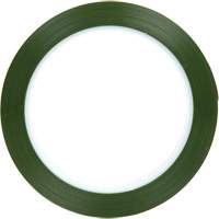Ruban en polyester, Polyester, 25,4 mm (1") la x 66 m (216') lo, 1,9 mils &eacute;pais Meunier Outillage Industriel