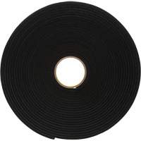 4504 Vinyl Foam Tape, 25.4 mm (1") W x 16.5 m (54') L, 250 mils, Black Meunier Outillage Industriel