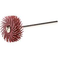 Roues-brosses abrasives  
