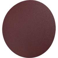 PSA Cloth Disc 248D, 12" Dia., 36 Grit, Aluminum Oxide Meunier Outillage Industriel