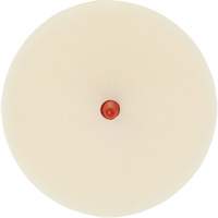 Scotch-Brite Moulding Adhesive & Stripe Removal Disc, 7501, 4" Dia. Meunier Outillage Industriel