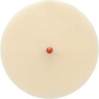 Scotch-Brite Moulding Adhesive and Stripe Removal Disc 7502, 6" Dia. Meunier Outillage Industriel