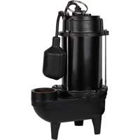 Cast Iron Effluent Pump, 5600 GPH, 120 V, 10 A, 3/4 HP DC847 | Meunier Outillage Industriel
