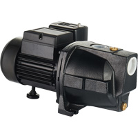 Dual Voltage Cast Iron Shallow Well Jet Pump, 115 V/230 V, 1100 GPH, 1 HP DC853 | Meunier Outillage Industriel