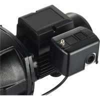 Dual Voltage Cast Iron Shallow Well Jet Pump, 115 V/230 V, 1100 GPH, 1 HP DC853 | Meunier Outillage Industriel