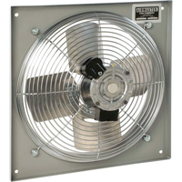 Ventilateurs muraux d'usage g&eacute;n&eacute;ral, Commercial, 2 vitesses, Diam&egrave;tre de 10" Meunier Outillage Industriel