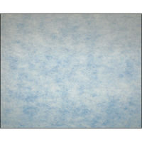 High-Arrestance Synthetic Media Filters, Pad, MERV 5, 24" W x 2" D x 12" H Meunier Outillage Industriel