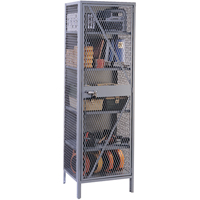 Wire Mesh Cabinet, Steel, 4 Shelves, 78" H x 24" W x 21" D, Grey FB015 | Meunier Outillage Industriel