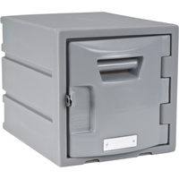 Locker, 12" x 15" x 12", Grey, Assembled FH725 | Meunier Outillage Industriel