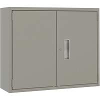 Wall Mounted Cabinet, Steel, 2 Shelves, 30" H x 36" W x 12" D, Grey Meunier Outillage Industriel