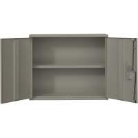 Wall Mounted Cabinet, Steel, 2 Shelves, 30" H x 36" W x 12" D, Grey Meunier Outillage Industriel