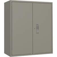 Lo-Boy Storage Cabinet, Steel, 2 Shelves, 40" H x 36" W x 18" D, Grey Meunier Outillage Industriel