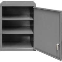 Armoire murale, 27" h x 13-11/16" la x 18" p, 2 tablettes, Acier, Gris Meunier Outillage Industriel