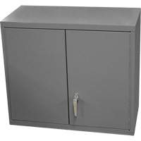 Armoire murale, 27" h x 13-11/16" la x 35-7/8" p, 2 tablettes, Acier, Gris Meunier Outillage Industriel