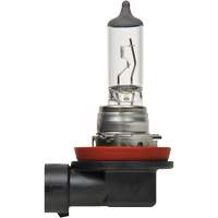 H8 Basic Headlight Bulb, Halogen, 35 W, Off White Meunier Outillage Industriel