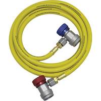 R134a A/C System Flush Hose Assembly Meunier Outillage Industriel