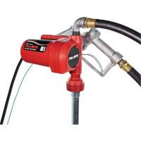 Pompe de transfert de carburant 12 V CC avec pistolet Meunier Outillage Industriel