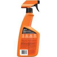 Multi-Purpose Auto Cleaner, 16 oz./473 ml, Trigger Bottle Meunier Outillage Industriel