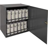 Aerosol Storage Cabinet, Steel, 21-7/8" H x 15-15/16" W x 20-5/16" D, Grey FN379 | Meunier Outillage Industriel