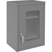 Armoire de rangement murale avec portes transparentes, 26-15/16" h x 18-1/8" la x 13-11/16" p, 2 tablettes, Acier, Gris Meunier Outillage Industriel