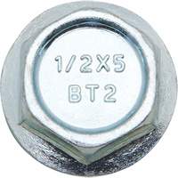 Wedge Bolts, Carbon Steel, 1/2" x 2" Meunier Outillage Industriel