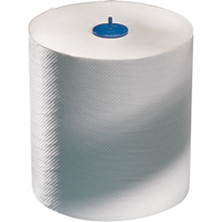 Advanced Roll Towels, 1 Ply, Standard, 700' L Meunier Outillage Industriel