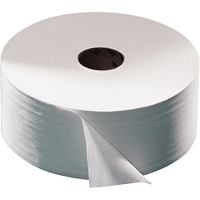 Advanced Toilet Paper, Jumbo Roll, 2 Ply, 751' Length, White Meunier Outillage Industriel