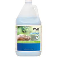 Polar Bathroom Cleaner, 4 L, Jug Meunier Outillage Industriel