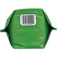 Biodegradable Hand Cleaner, Powder, 4.5 lbs., Packet, Unscented Meunier Outillage Industriel