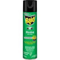 Raid&reg; Home Insect Killer, 350 g, Solvent Base Meunier Outillage Industriel