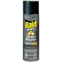 Raid<sup>®</sup> Max<sup>®</sup> Spider Blaster Bug Killer Insecticide, 500 g, Aerosol Can, Solvent Base JM270 | Meunier Outillage Industriel