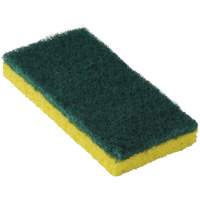 745 Medium-Duty Scouring Sponges, 6-1/4" L x 3-3/16" W JM541 | Meunier Outillage Industriel