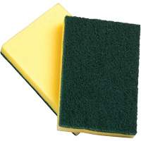 Sponges with Scouring Pad, Scrubbing, 4" W x 6" L JN021 | Meunier Outillage Industriel