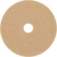 Trizact Diamond TZ Abrasive Strip, 20", Burnishing, Beige Meunier Outillage Industriel
