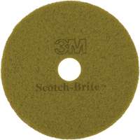 Tampon pour planchers TopLine Speed, 17", Brunissage, Brun Meunier Outillage Industriel