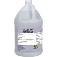 Alcosan Hard Surface Sanitizer, Jug JO145 | Meunier Outillage Industriel