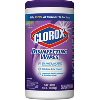 Disinfecting Wipes, 75 Count Meunier Outillage Industriel