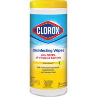 Disinfecting Wipes, 35 Count Meunier Outillage Industriel