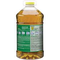 Nettoyant pour vitres et surfaces multiples Pine Sol, 4,25 L, Cruche Meunier Outillage Industriel