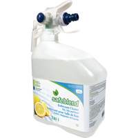 Concentrated Glass & Multi-Surface Cleaner, 4 L, Jug JP115 | Meunier Outillage Industriel