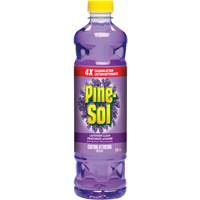 Pine-Sol<sup>®</sup> Multi-Surface Cleaner, Bottle JP201 | Meunier Outillage Industriel