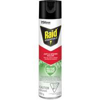 Raid<sup>®</sup> Essentials™ Ant & Spider Killer, 350 g, Aerosol Can JP467 | Meunier Outillage Industriel